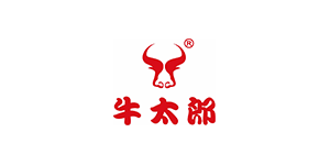 合作伙伴 合作伙伴